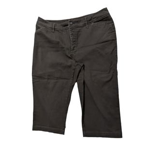 St. John's Bay Size 16 Brown Pedal Pusher Capri‎ Pants (M248)